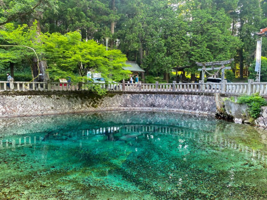 💧 벳푸 벤텐 연못 (벳푸벤텐이케) 이미지 9